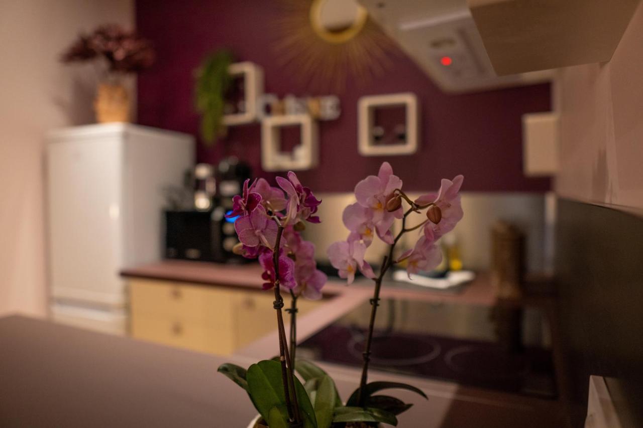 Studio Coeur De Ville Sanary Tres Cosy Parking Luaran gambar